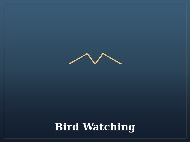 Bird Watching