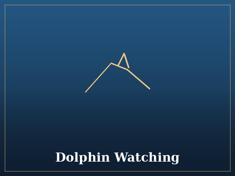 Dolphin Watching