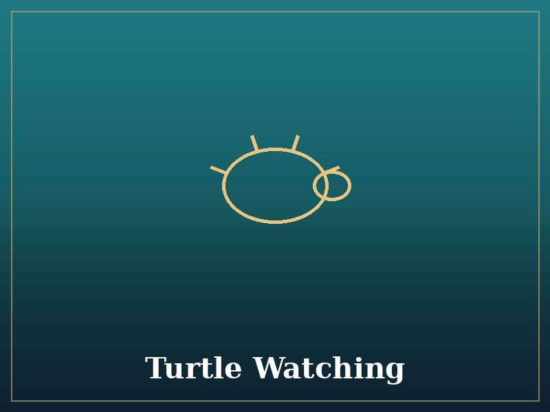 Turtle Watching