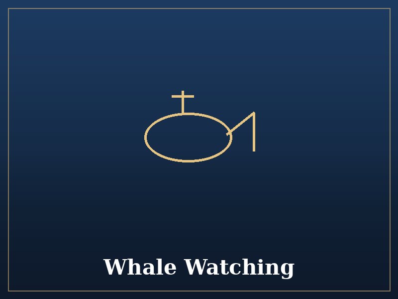 Whale Watching